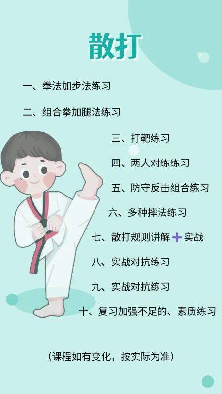 散打属于哪个国家的武术,散打是哪个国家的运动项目