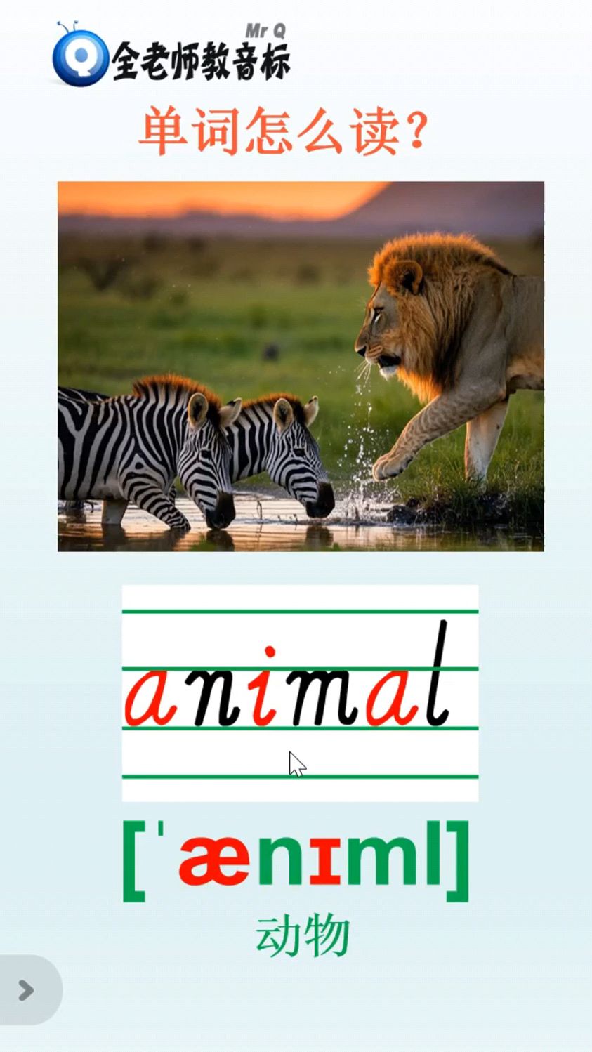 英语lions怎么读