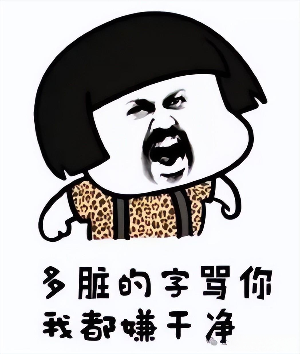 骂人的句子越脏越好,骂人的句子越脏越好1000字