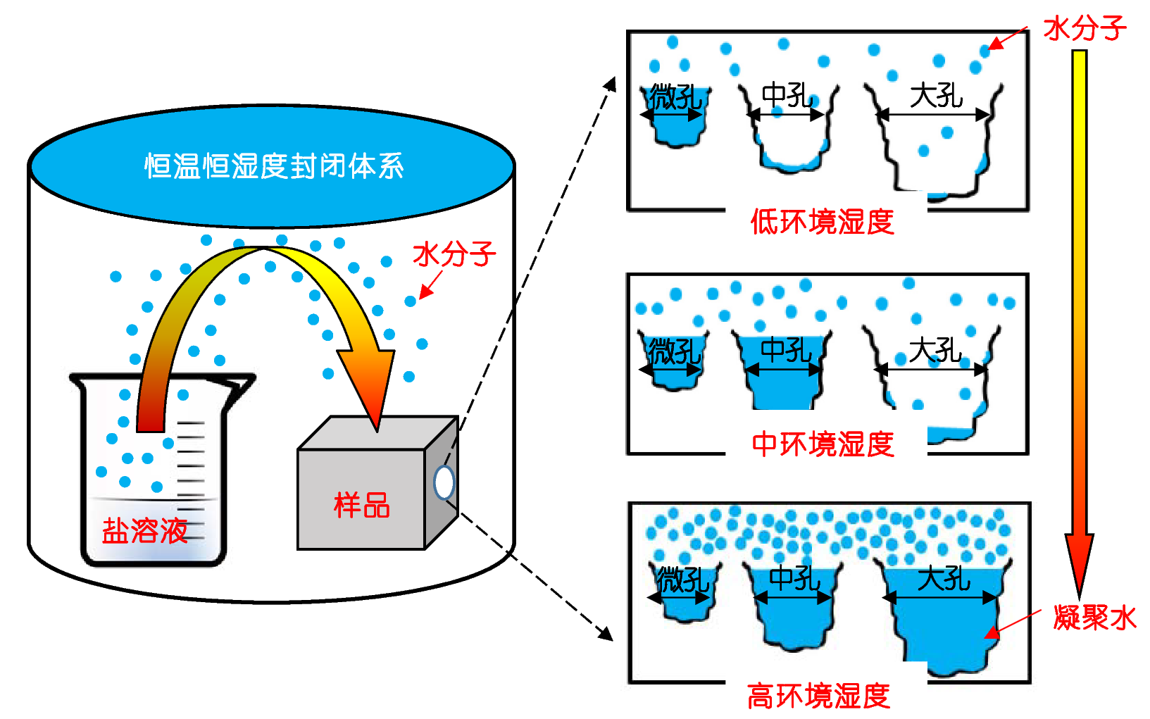 8篇waterresearch什么水平,water treatment processes 文章翻译