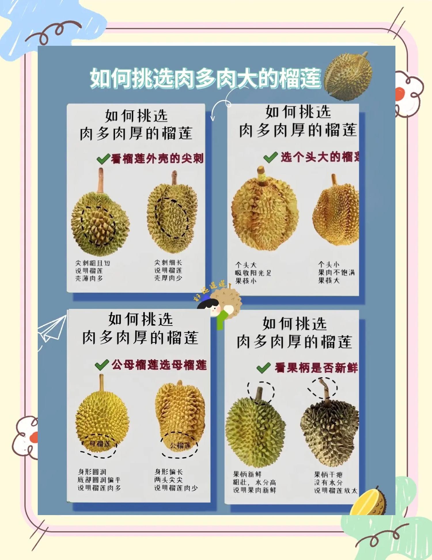 买榴莲怎么挑肉多的,买榴莲要怎么挑才有肉