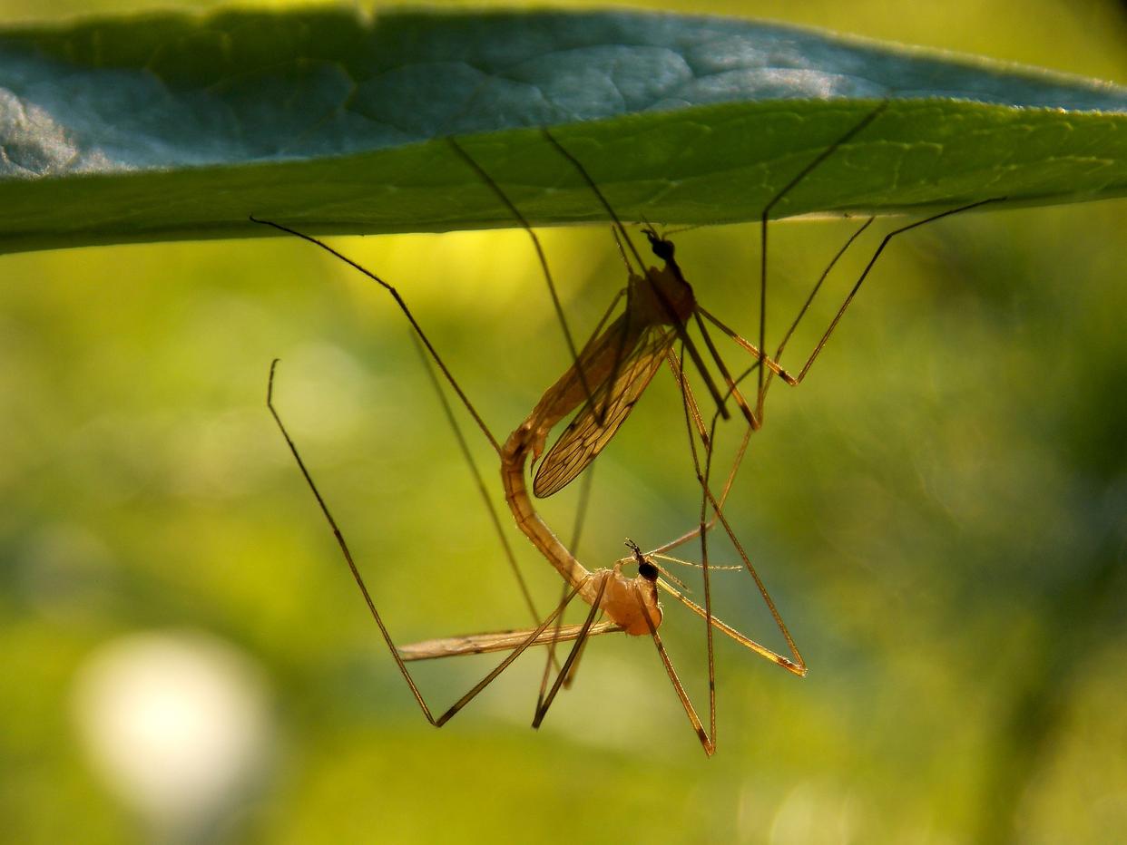 2025年10月31日 第10页