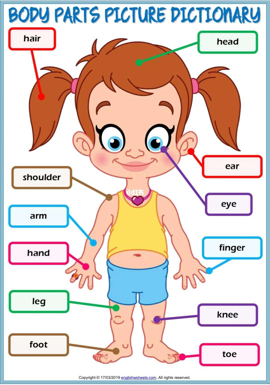 body英语怎么读,body的英语