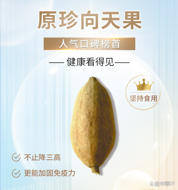 2025年10月31日 第19页