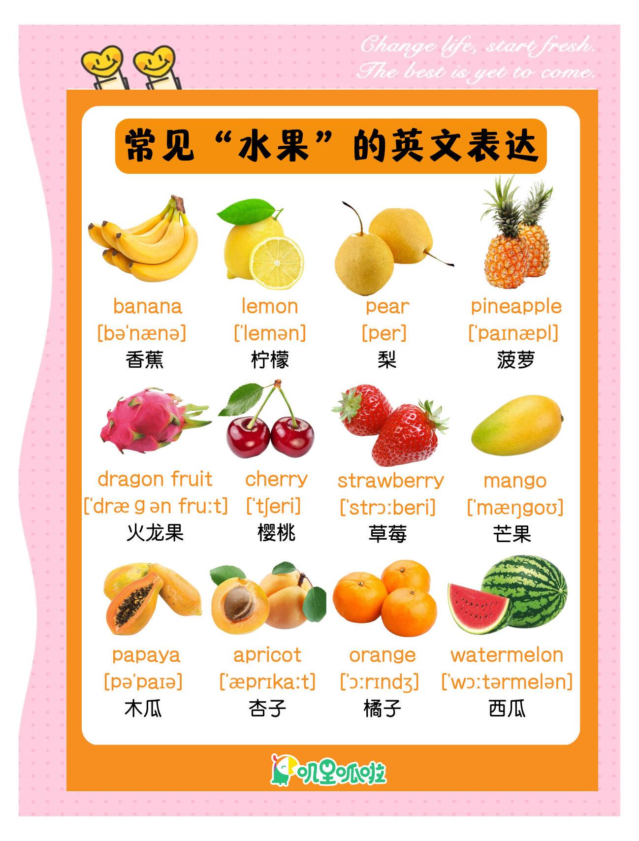 梨单词英语怎么写,梨单词怎么说