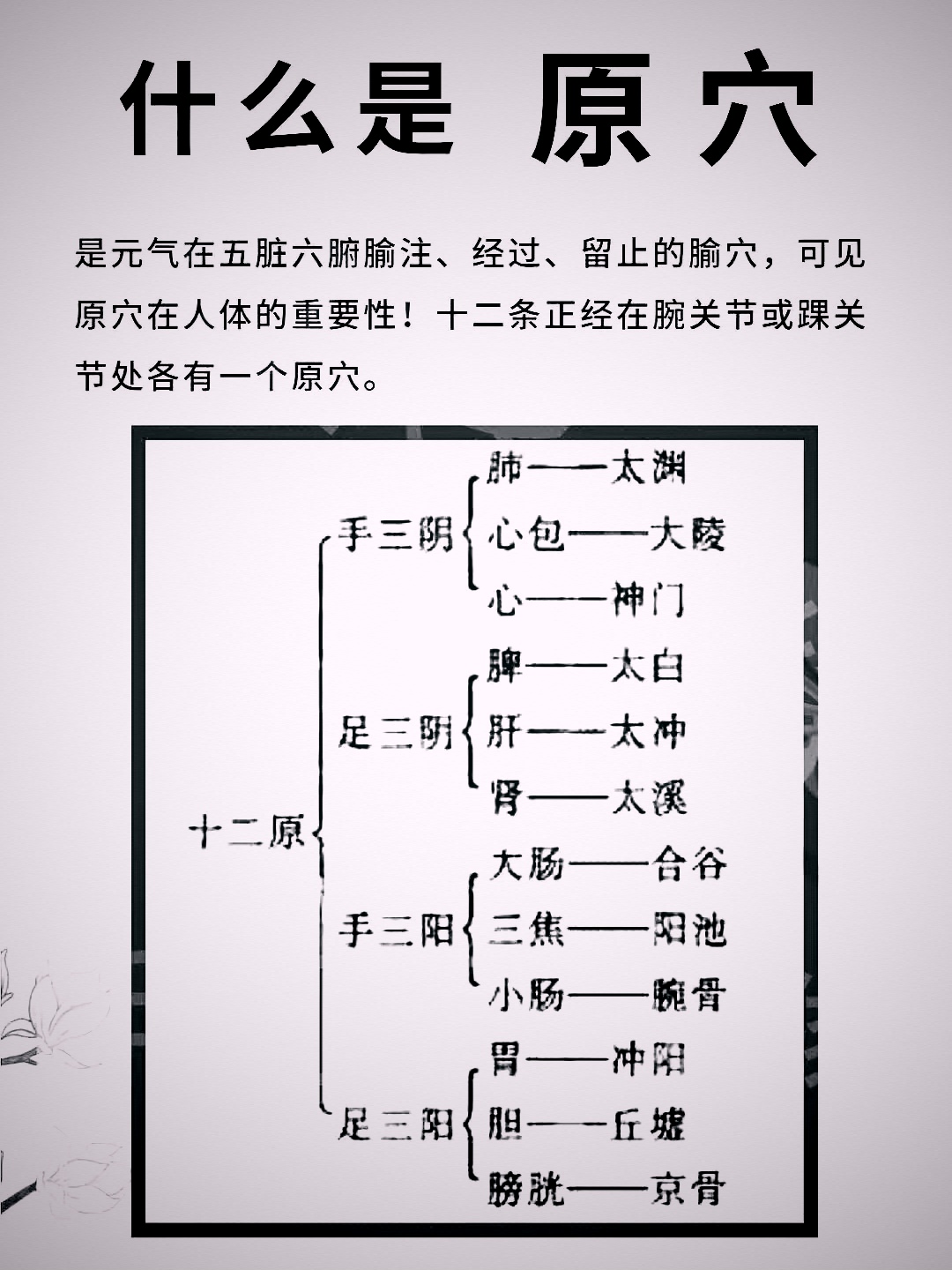 阿是穴的网络解释是什么