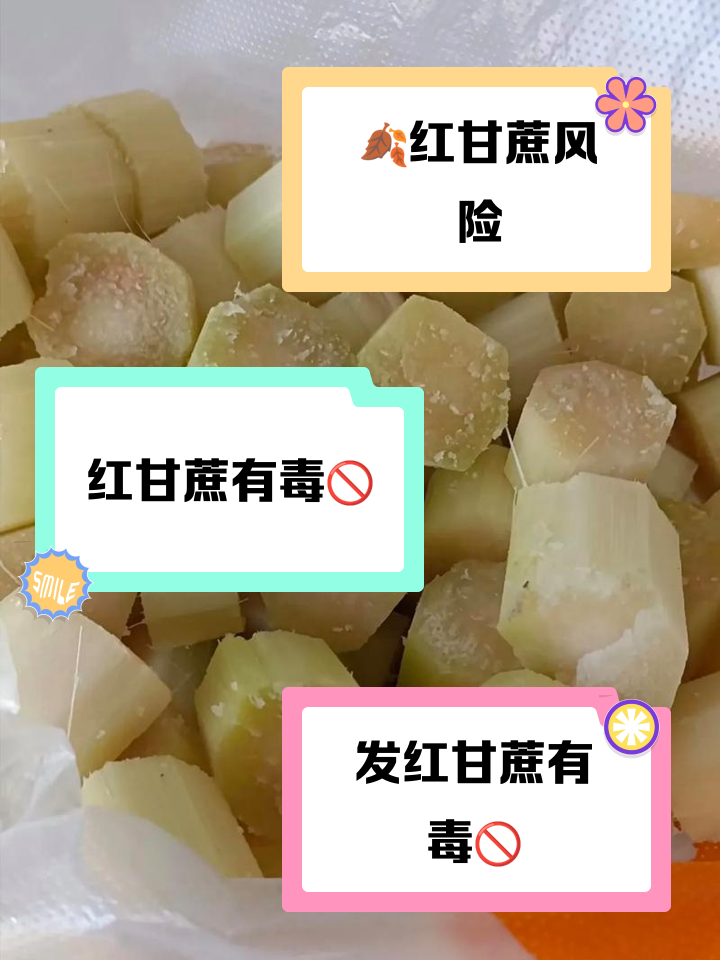 孕妇能吃甘蔗吗?,孕妇能吃甘蔗吗 孕妇吃甘蔗的好处