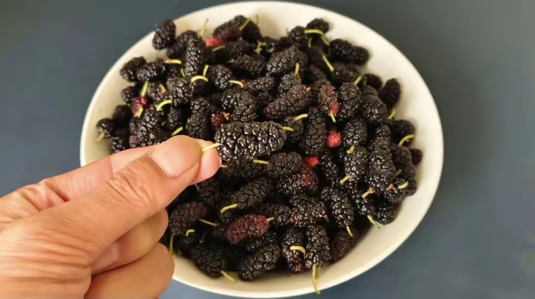 桑葚怎么洗才干净无农药残留,桑葚怎么清洁才干净视频