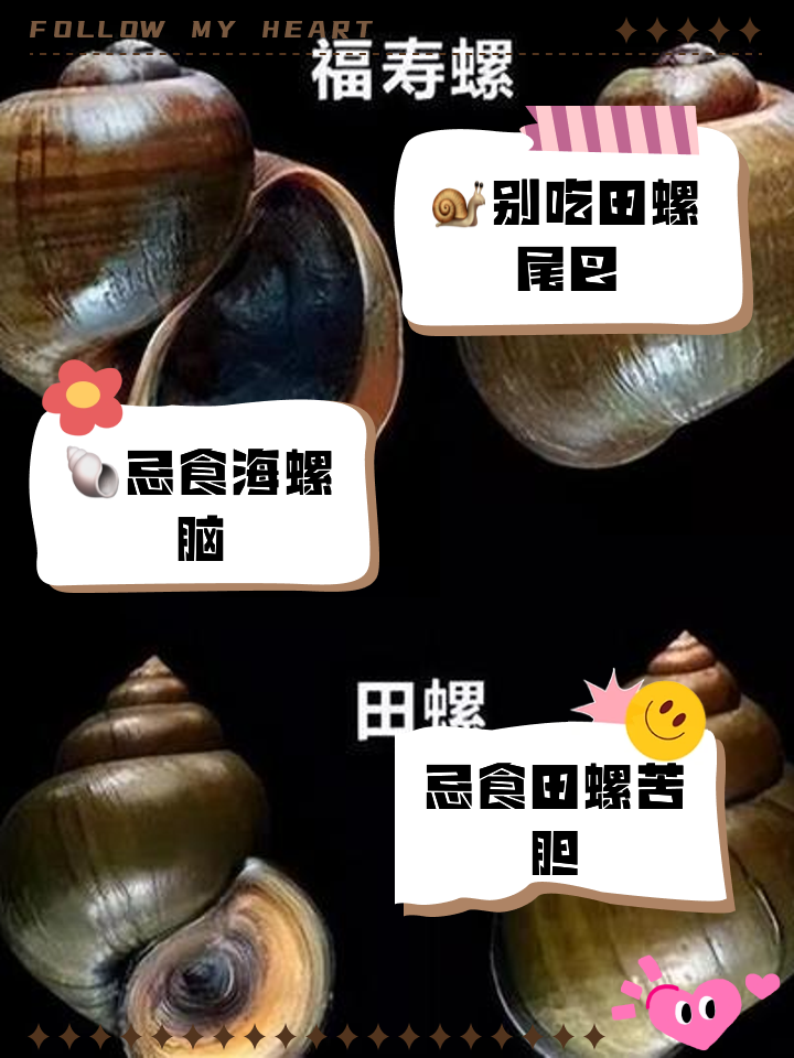 田螺尾部可以吃吗,田螺 尾部
