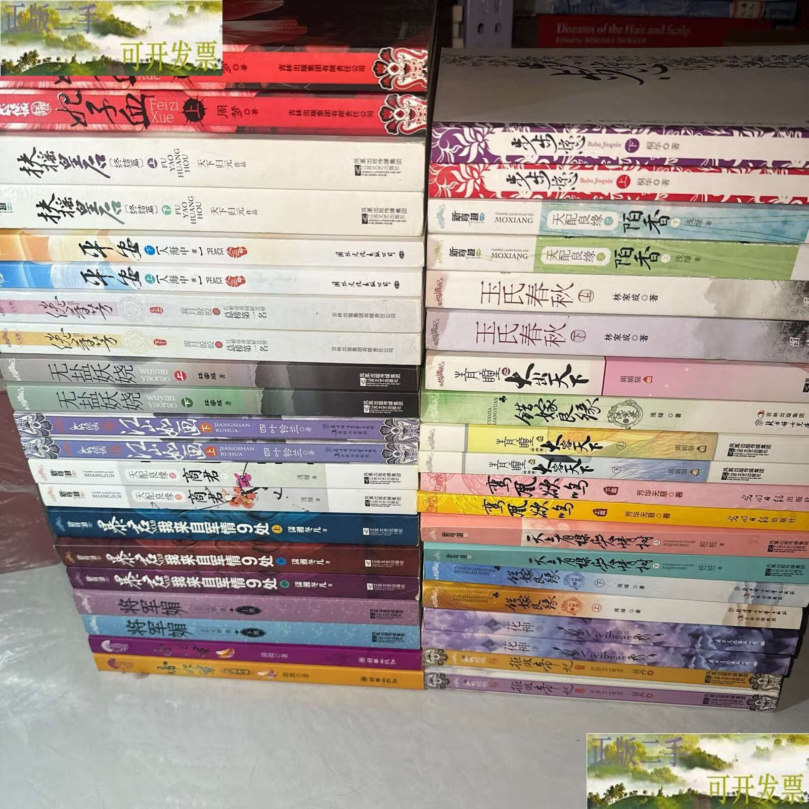 关于小说扶摇皇后简介,扶摇皇后原著小说免费阅读全文