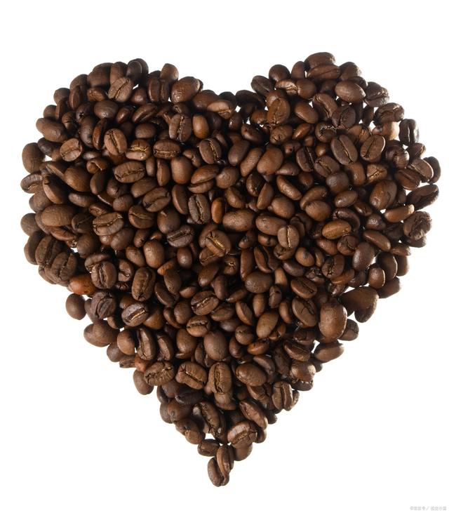 猫屎咖啡的原料是哪种猫的排泄物,猫屎咖啡是用哪种猫的排泄物做的