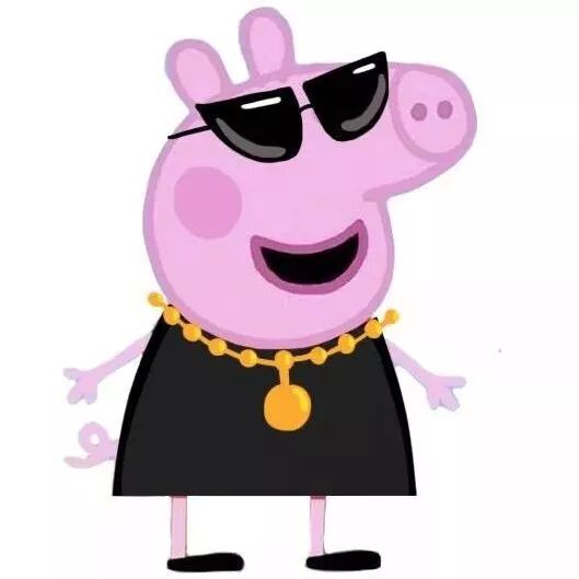 Pig什么意思,pigs什么意思