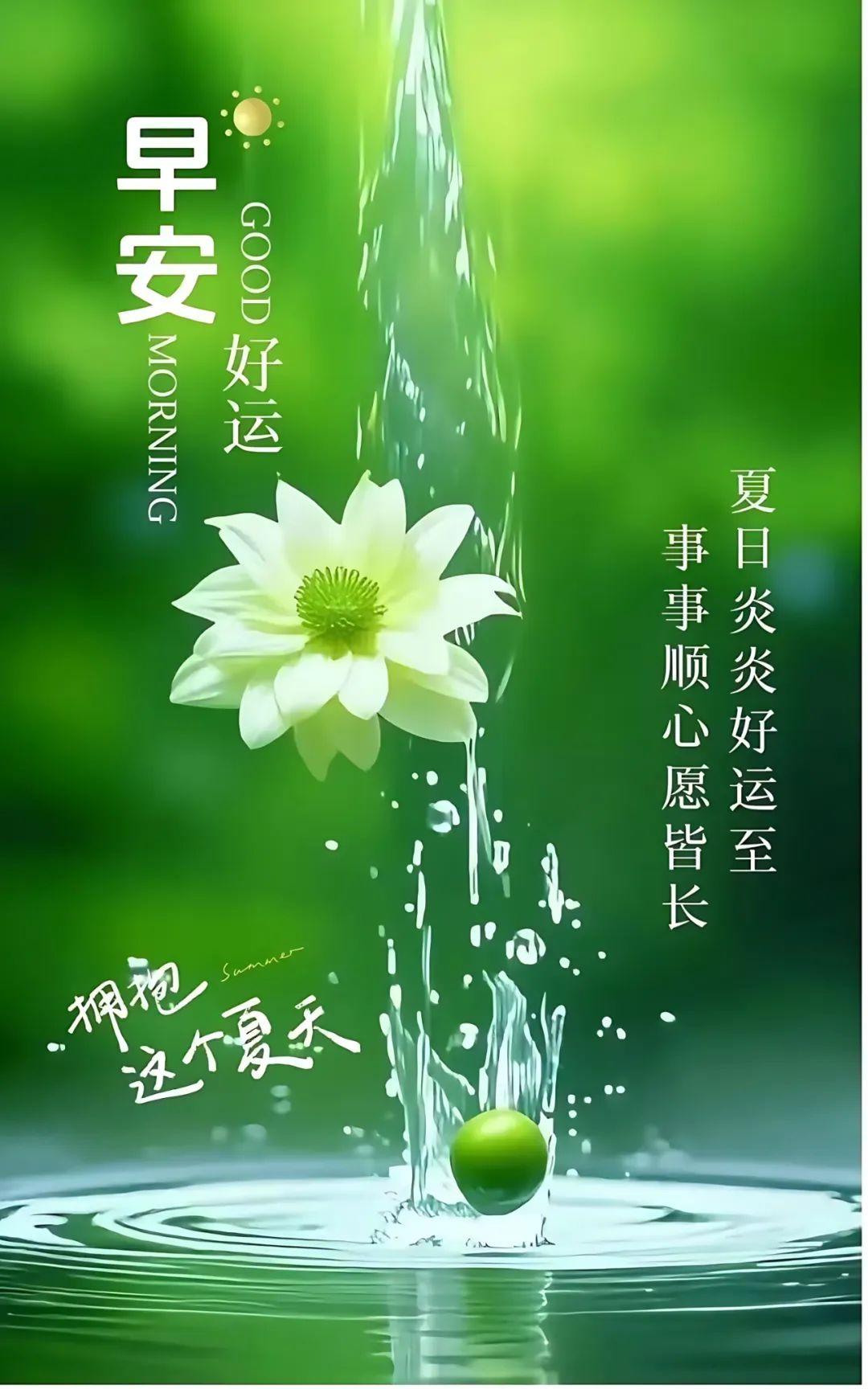 每日一条正能量短句,每日一句正能量句子励志