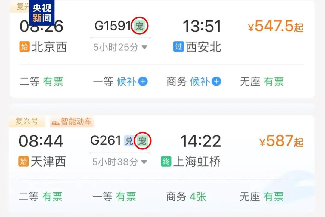 学生证在12306怎么查磁,12306怎么查询学生证