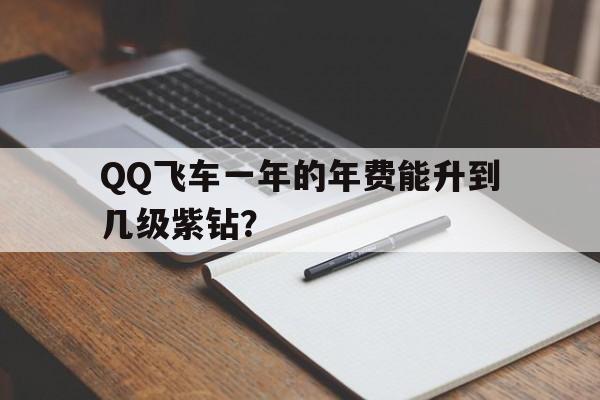 QQ飞车一年的年费能升到几级紫钻？,