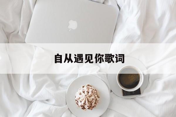 自从遇见你歌词,自从遇见你歌词含义