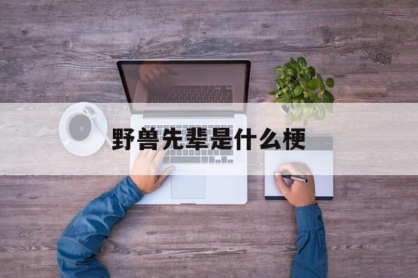 野兽先辈是什么梗,野兽先辈是干什么的