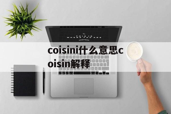 coisini什么意思coisin解释,