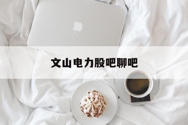 文山电力股吧聊吧,文山电力股票怎么样