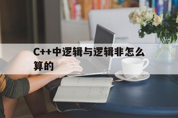 C++中逻辑与逻辑非怎么算的,
