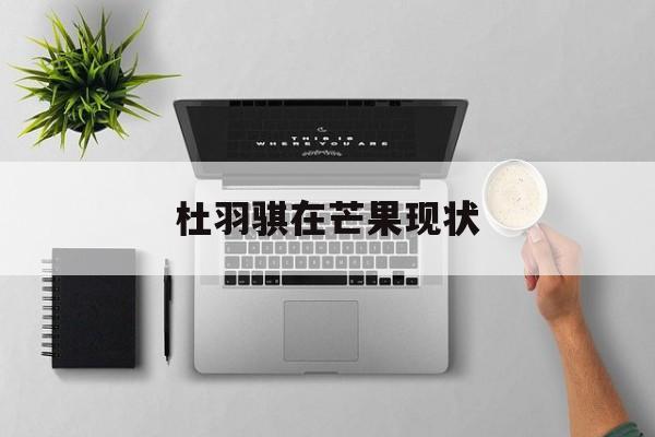 杜羽骐在芒果现状,杜羽骐视频